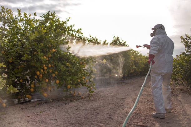 Best Exterminator Services  in Westfield, NJ