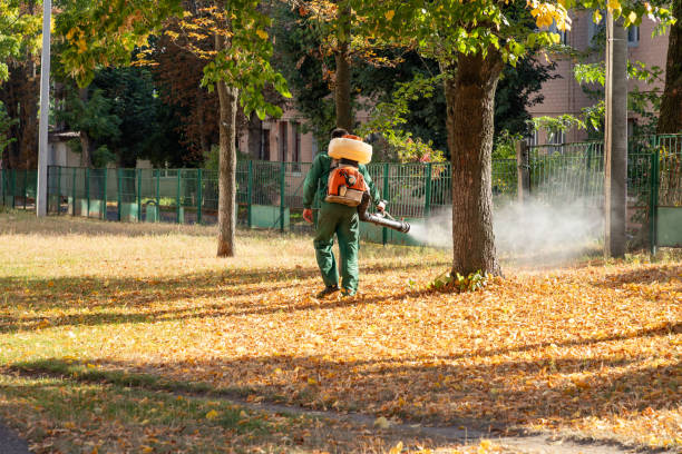 Best Bird Control  in Westfield, NJ