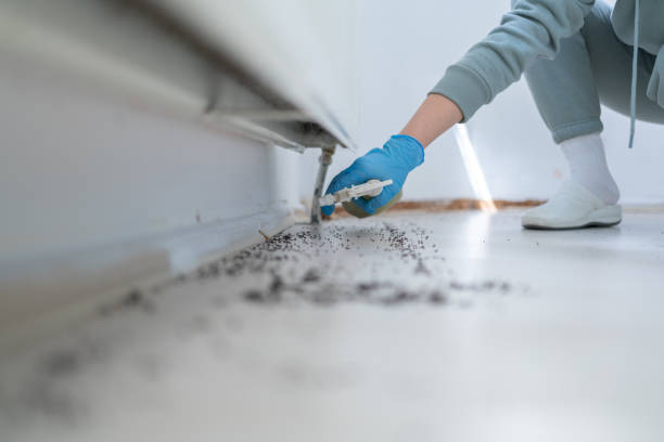 Best Pest Prevention Services  in Westfield, NJ
